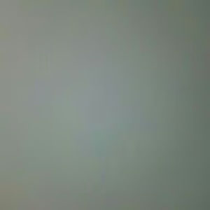 Meet your Posher, Edwin